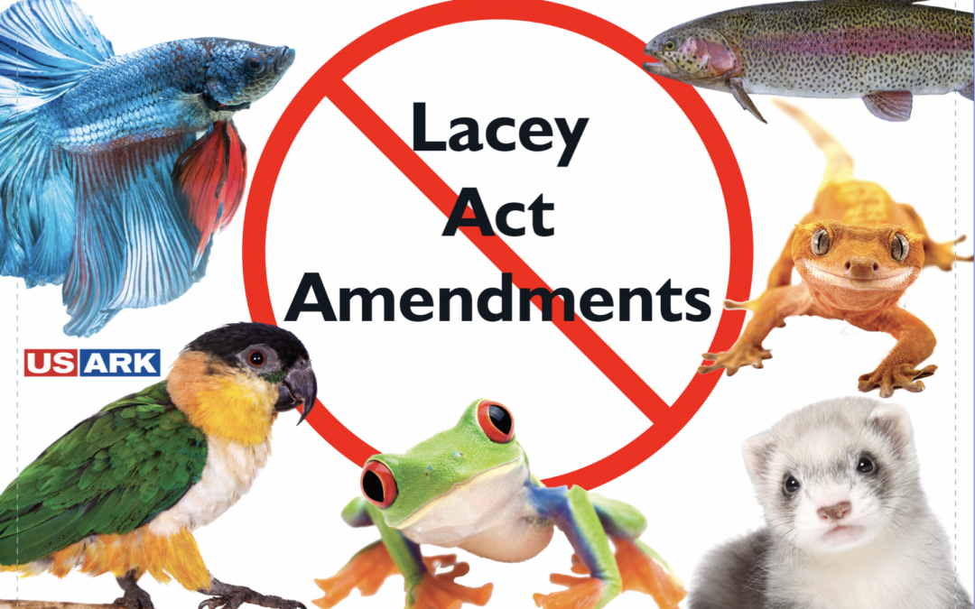 Lacey Act Amendments FAQ 2023